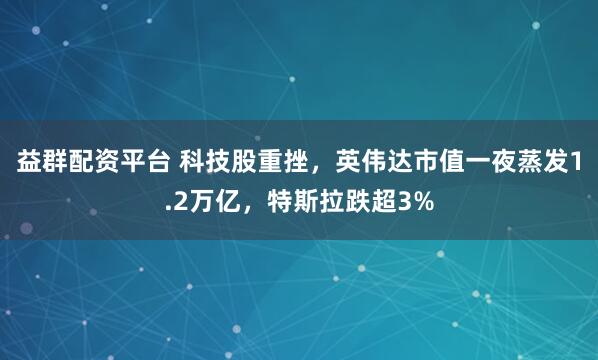 益群配资平台 科技股重挫，英伟达市值一夜蒸发1.2万亿，特斯拉跌超3%