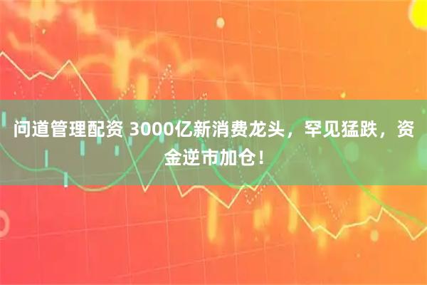 问道管理配资 3000亿新消费龙头，罕见猛跌，资金逆市加仓！